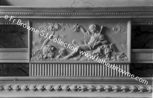 ABBEYLEIX HOUSE  ENTRANCE HALL DETAIL OF FIRE PLACE